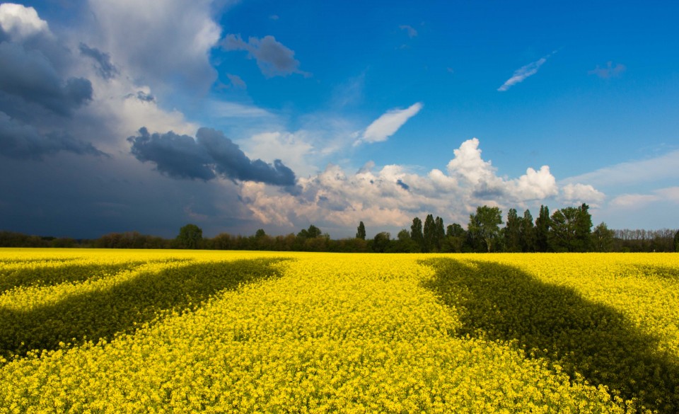 Ukraine